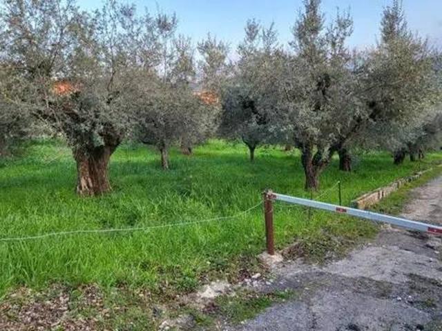 Terreno in vendita a Montesilvano PE