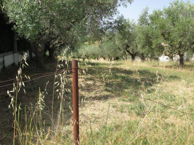Terreno in vendita a Montesilvano PE