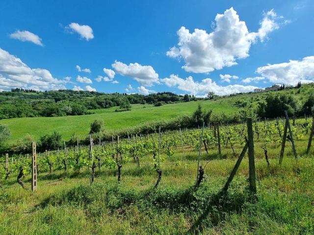 Terreno in vendita a Montespertoli FI