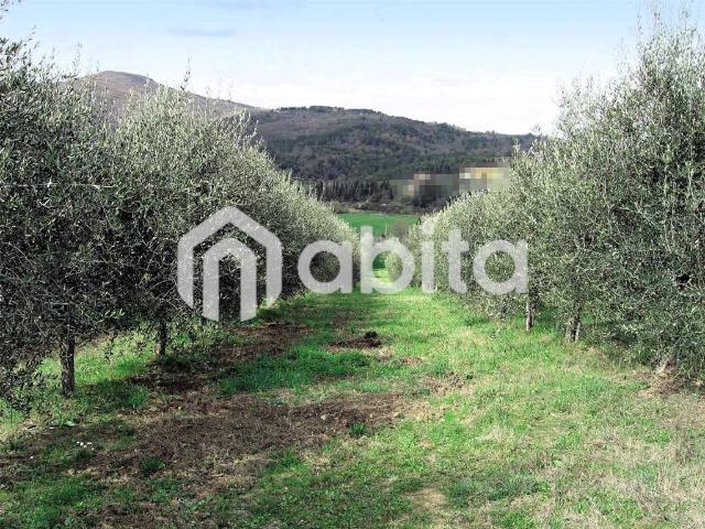 Terreno in vendita a Montevarchi AR