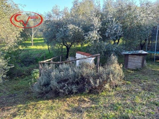 Terreno in vendita a Montevarchi AR