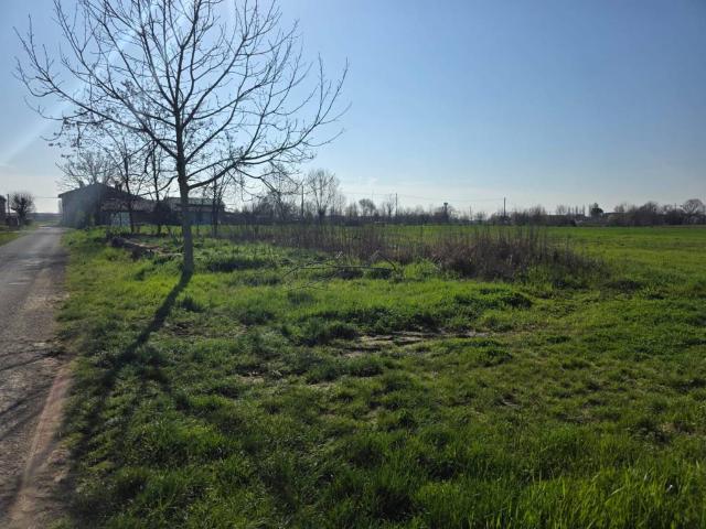Terreno in vendita a Monticelli d'Ongina PC
