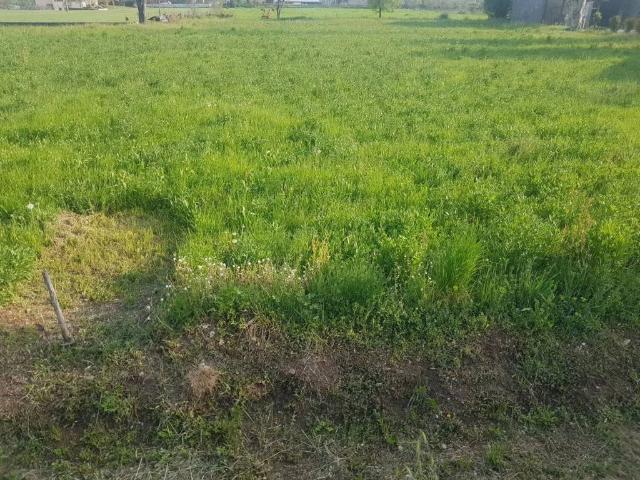 Terreno in vendita a Montichiari BS