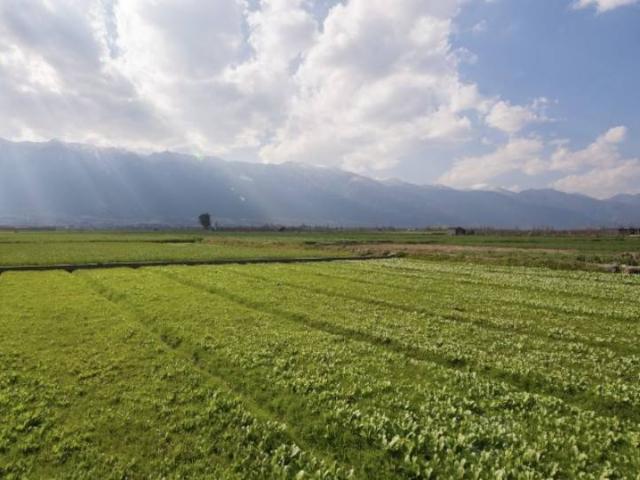 Terreno in vendita a Montirone BS