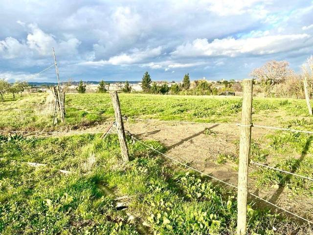 Terreno in vendita a Montopoli in Val d'Arno PI