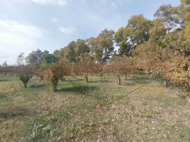 Terreno in vendita a Monastir SU