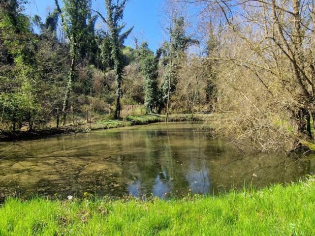 Terreno in vendita a Moncucco Torinese AT