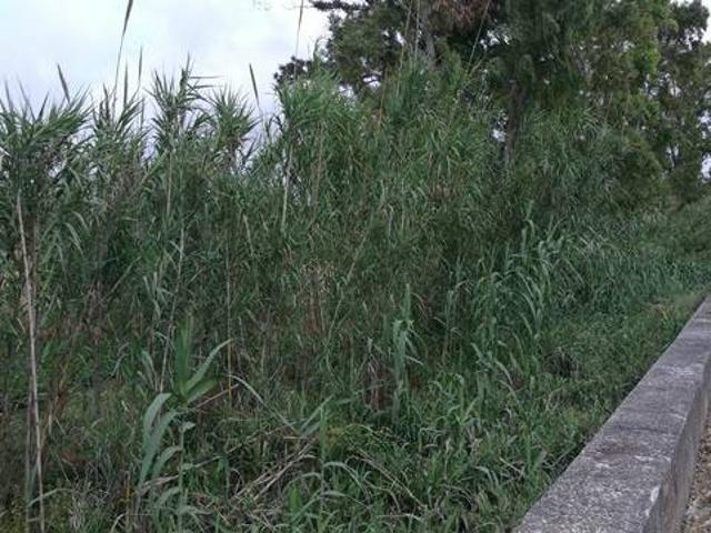 Terreno in vendita a Mondragone CE