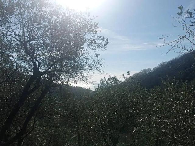 Terreno in vendita a Moneglia GE
