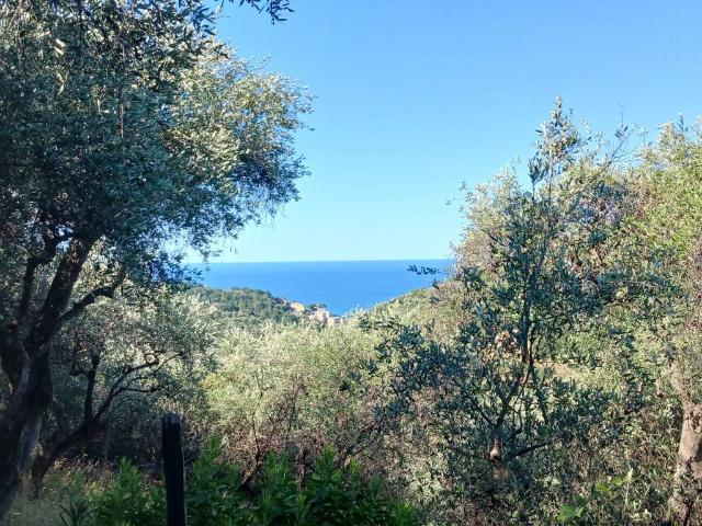 Terreno in vendita a Moneglia GE