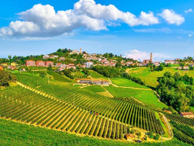 Terreno in vendita a Monforte d'Alba CN
