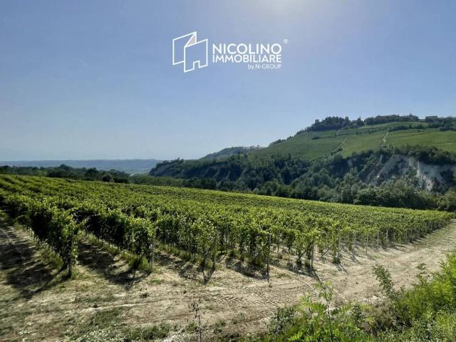 Terreno in vendita a Monforte d'Alba CN