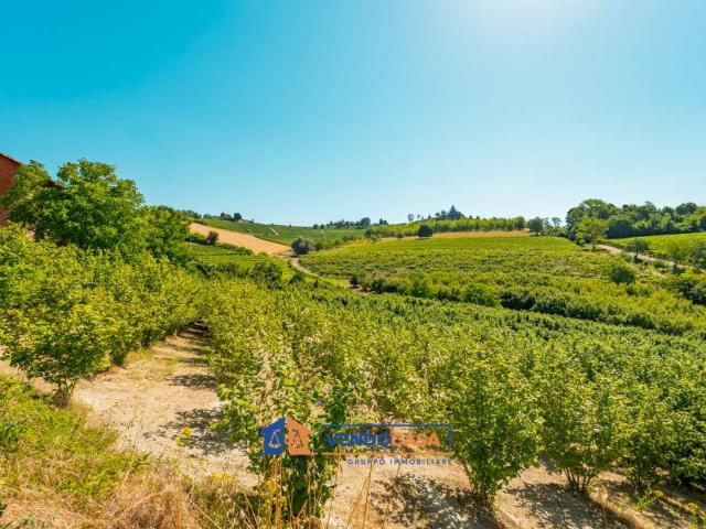 Terreno in vendita a Monforte d'Alba CN