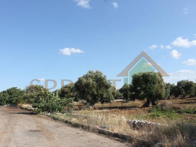 Terreno in vendita a Monopoli BA
