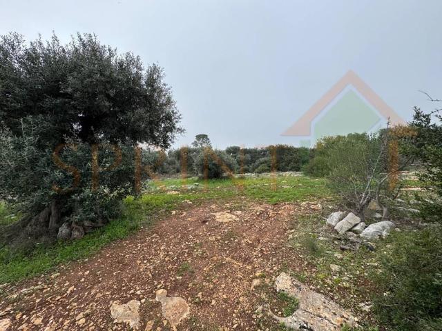 Terreno in vendita a Monopoli BA
