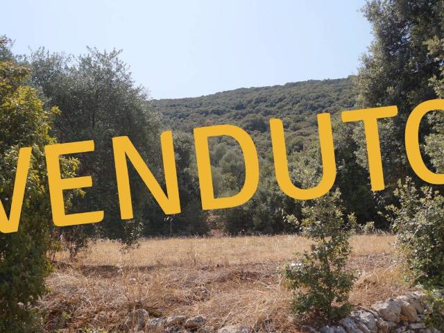 Terreno in vendita a Monopoli BA
