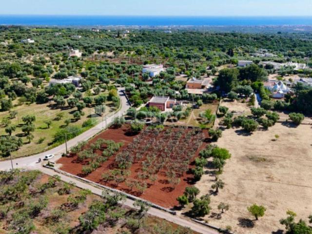 Terreno in vendita a Monopoli BA