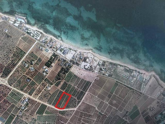 Terreno in vendita a Monopoli BA