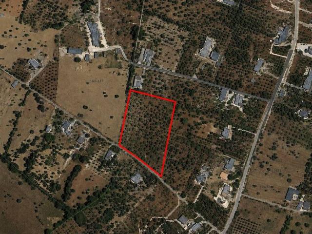 Terreno in vendita a Monopoli BA