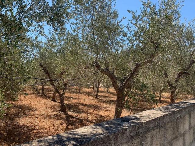 Terreno in vendita a Monopoli BA