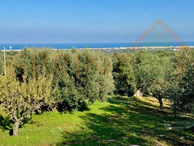 Terreno in vendita a Monopoli BA