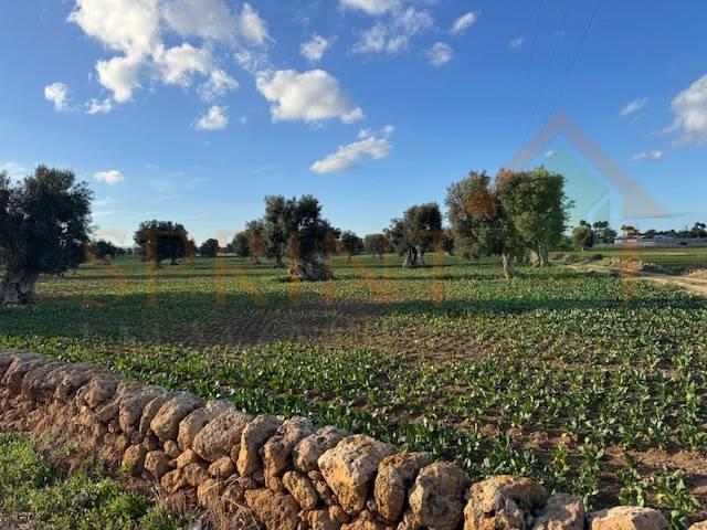 Terreno in vendita a Monopoli BA