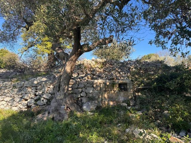 Terreno in vendita a Monopoli BA