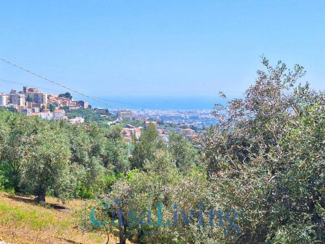 Terreno in vendita a Monreale PA