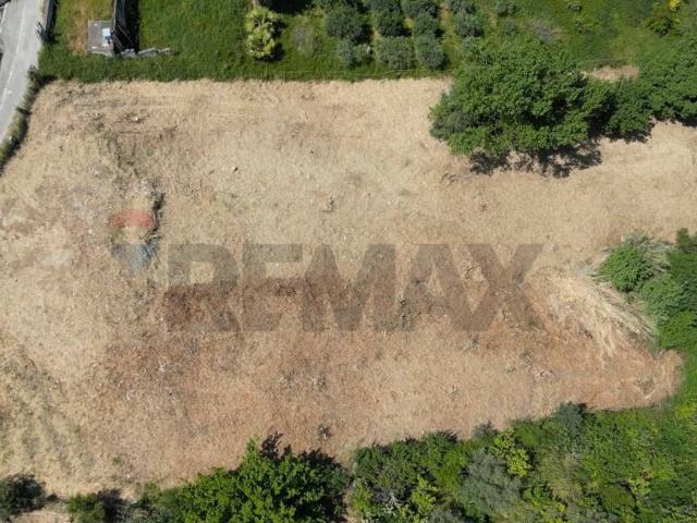 Terreno in vendita a Monreale PA