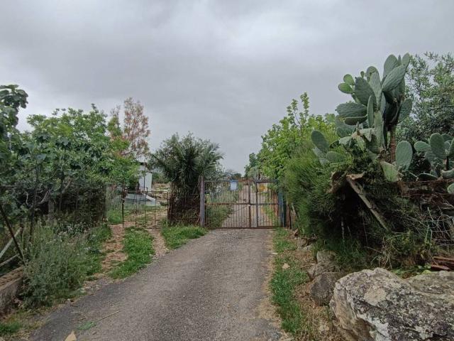 Terreno in vendita a Monreale PA