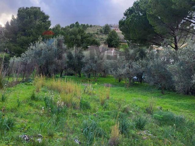 Terreno in vendita a Monreale PA