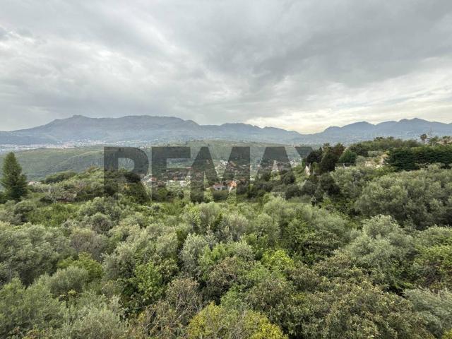 Terreno in vendita a Monreale PA
