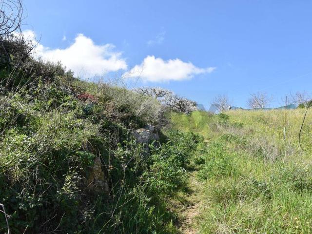 Terreno in vendita a Monreale PA
