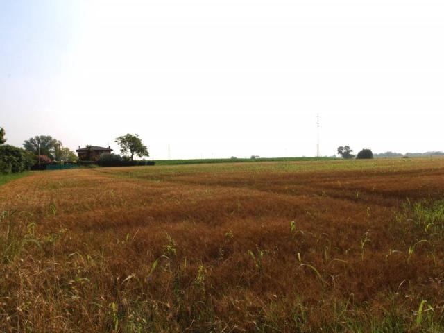 Terreno in vendita a Monselice PD