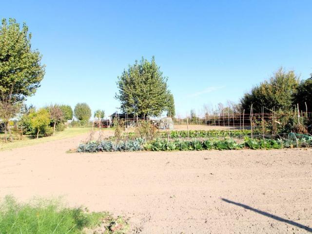 Terreno in vendita a Monselice PD