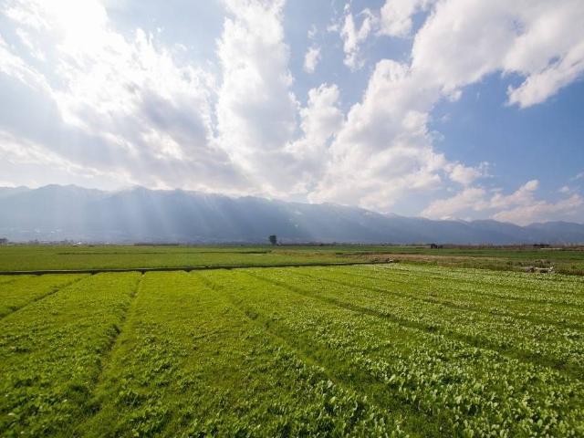 Terreno in vendita a Modena MO