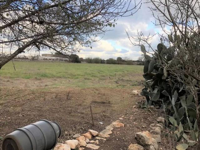 Terreno in vendita a Mola di Bari BA