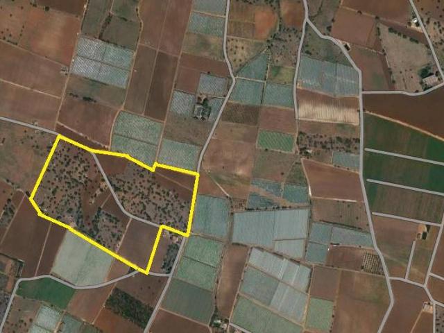 Terreno in vendita a Mola di Bari BA