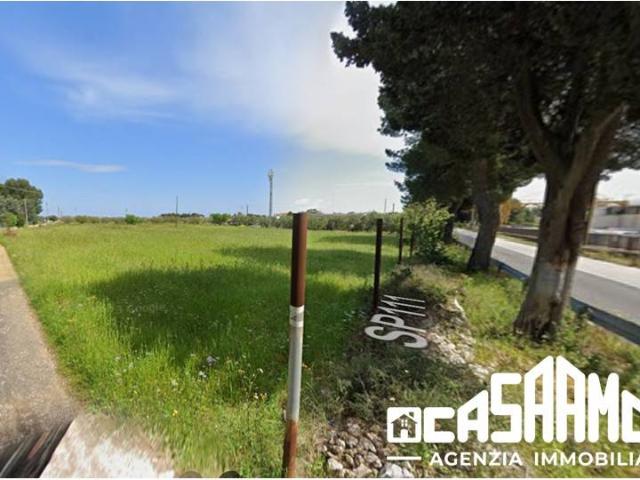 Terreno in vendita a Mola di Bari BA