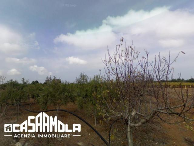 Terreno in vendita a Mola di Bari BA
