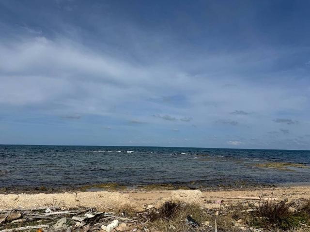 Terreno in vendita a Mola di Bari BA
