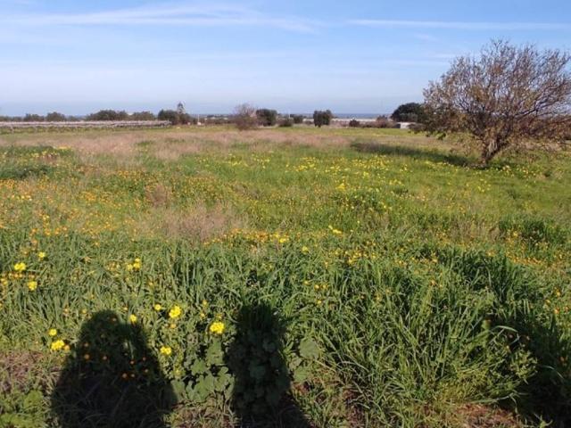 Terreno in vendita a Mola di Bari BA