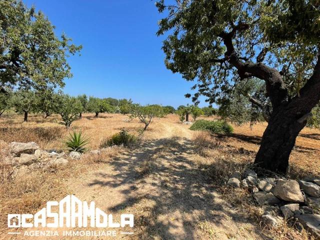 Terreno in vendita a Mola di Bari BA