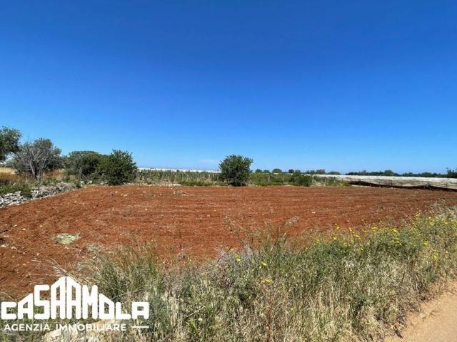 Terreno in vendita a Mola di Bari BA