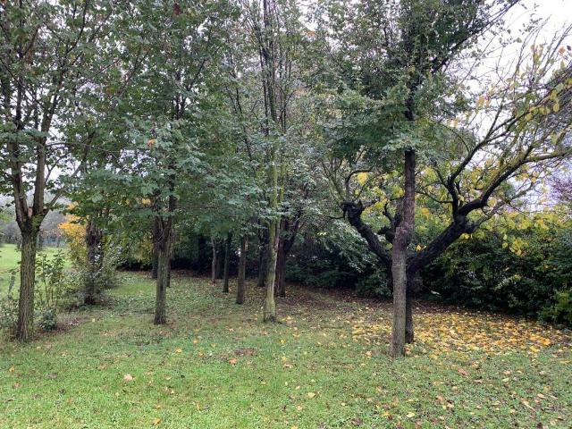 Terreno in vendita a Morciano di Romagna RN