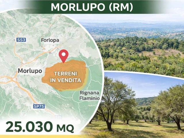 Terreno in vendita a Morlupo RM