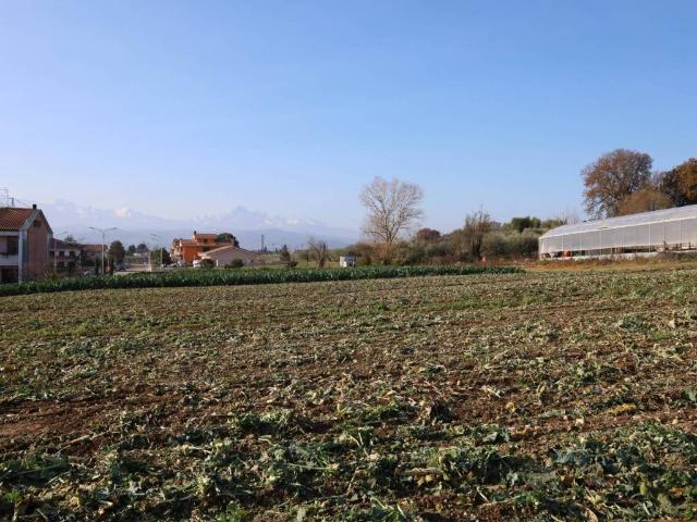 Terreno in vendita a Morro d'Oro TE