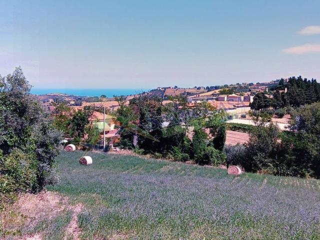 Terreno in vendita a Mosciano Sant'Angelo TE