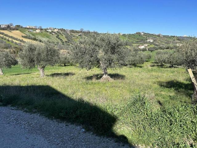 Terreno in vendita a Mosciano Sant'Angelo TE