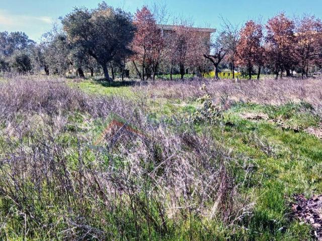 Terreno in vendita a Mosciano Sant'Angelo TE